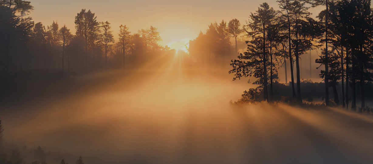 Image paysage Image paysage